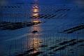 2 - TO WELCOME THE MORNING SUN - WU ZELING - china